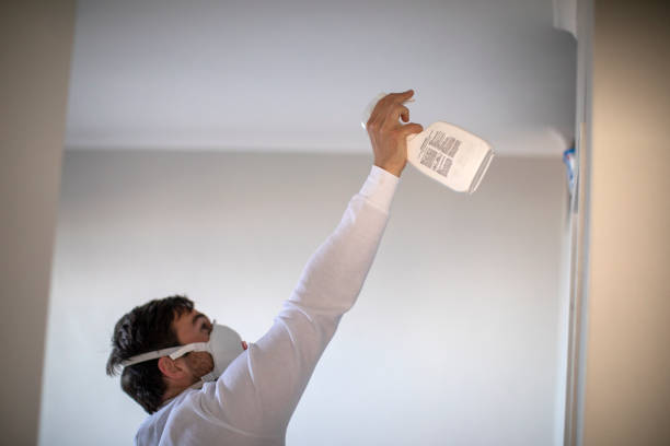 Best Affordable Mold Removal  in Haworth, NJ