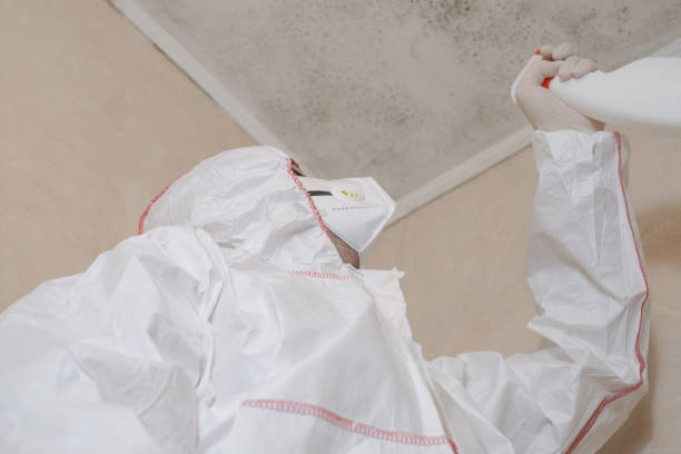 Best Office Mold Removal Services  in Haworth, NJ