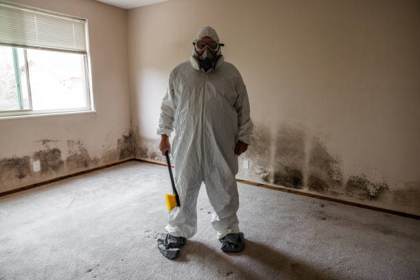 Best Mold Remediation Services  in Haworth, NJ